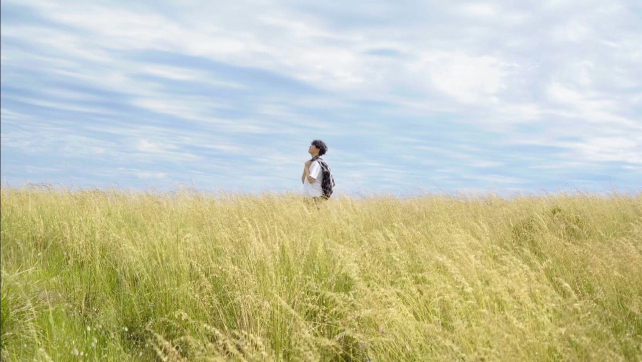 Zoltria in a golden field